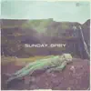 Nitin - Sunday Grey - EP
